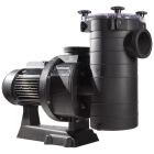 Насос Hayward HCP38303E3 KAP300 T1.B IE3 (380 В, 48 м3/год, 3 HP)